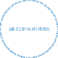 Mechatronika